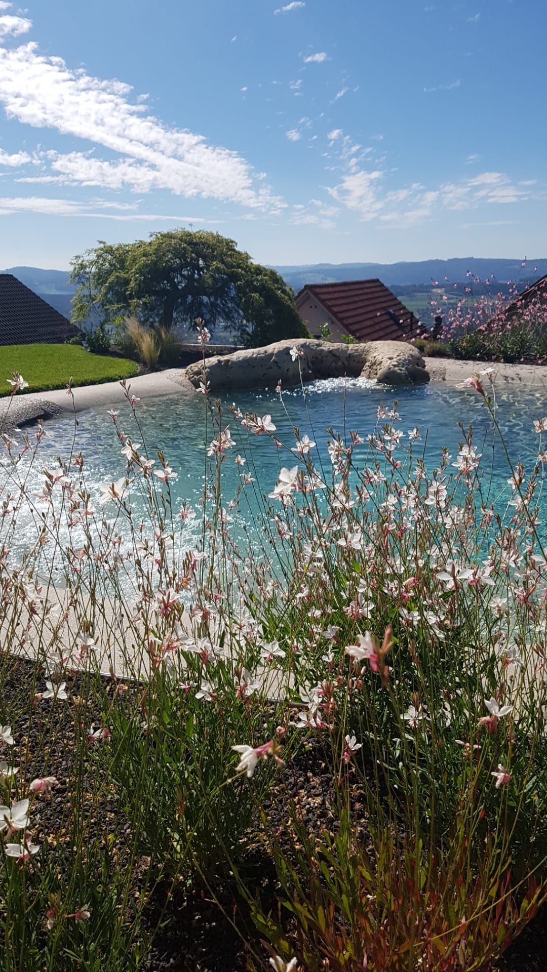 Swiss SPA-Pool